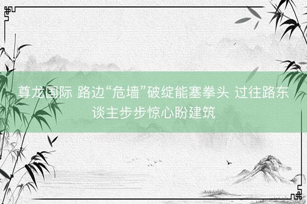 尊龙国际 路边“危墙”破绽能塞拳头 过往路东谈主步步惊心盼建筑