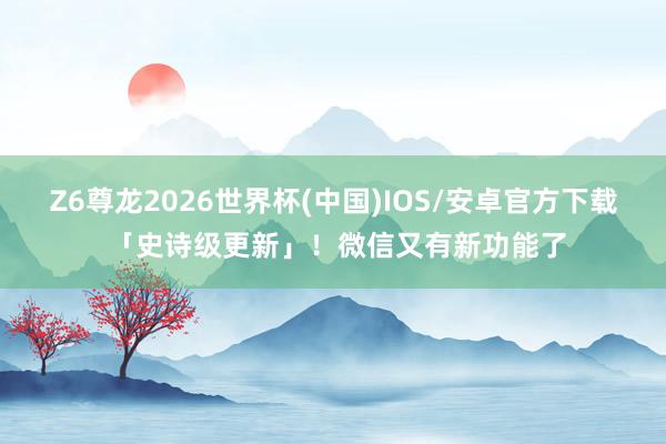Z6尊龙2026世界杯(中国)IOS/安卓官方下载 「史诗级更新」!微信又有新功能了