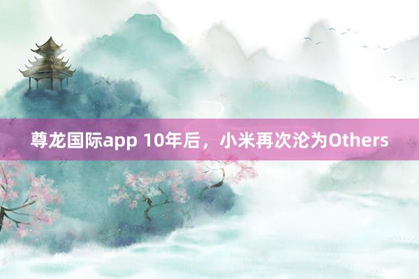 尊龙国际app 10年后,小米再次沦为Others