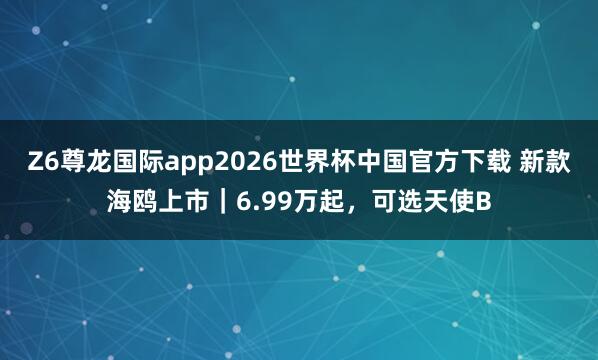Z6尊龙国际app2026世界杯中国官方下载 新款海鸥上市|6.99万起,可选天使B