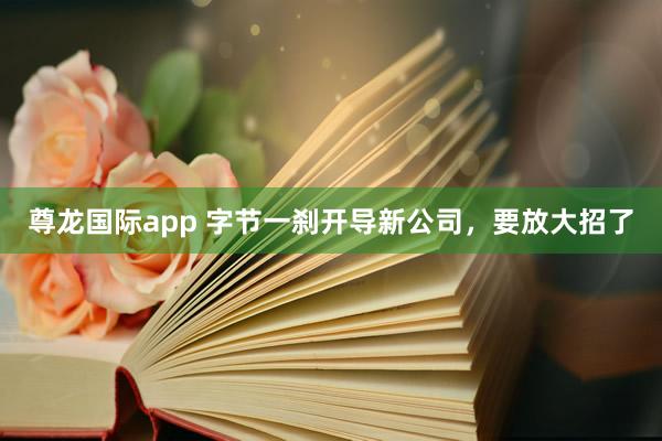 尊龙国际app 字节一刹开导新公司,要放大招了
