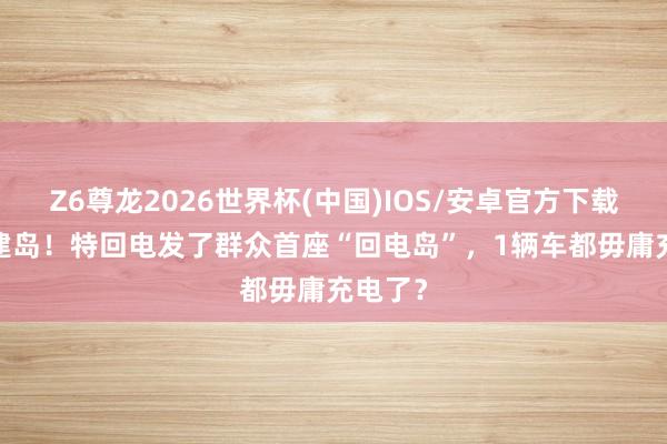 Z6尊龙2026世界杯(中国)IOS/安卓官方下载 36天建岛!特回电发了群众首座“回电岛”,1辆车都毋庸充电了?