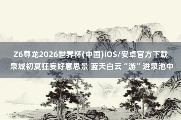 Z6尊龙2026世界杯(中国)IOS/安卓官方下载 泉城初夏狂妄好意思景 蓝天白云“游”进泉池中