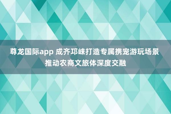 尊龙国际app 成齐邛崃打造专属携宠游玩场景 推动农商文旅体深度交融