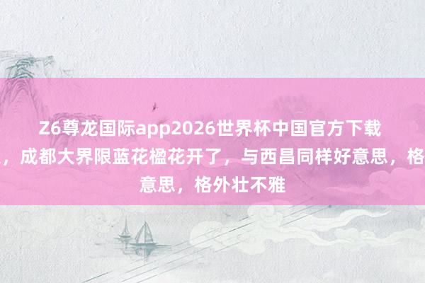 Z6尊龙国际app2026世界杯中国官方下载 期望已久，成都大界限蓝花楹花开了，与西昌同样好意思，格外壮不雅
