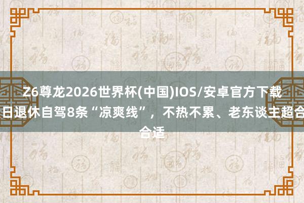 Z6尊龙2026世界杯(中国)IOS/安卓官方下载 夏日退休自驾8条“凉爽线”,不热不累、老东谈主超合适