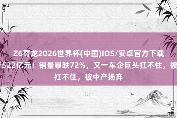 Z6尊龙2026世界杯(中国)IOS/安卓官方下载 两年连亏522亿元!销量暴跌72%,又一车企巨头扛不住,被中产扬弃