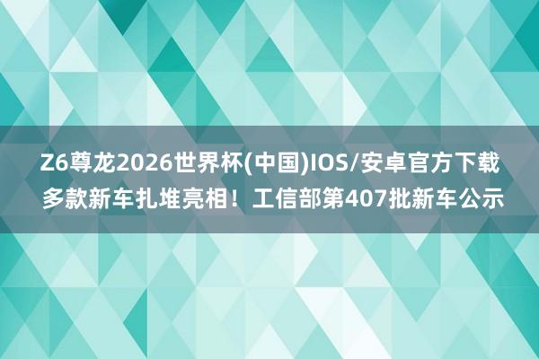 Z6尊龙2026世界杯(中国)IOS/安卓官方下载 多款新车扎堆亮相!工信部第407批新车公示
