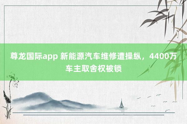 尊龙国际app 新能源汽车维修遭操纵,4400万车主取舍权被锁