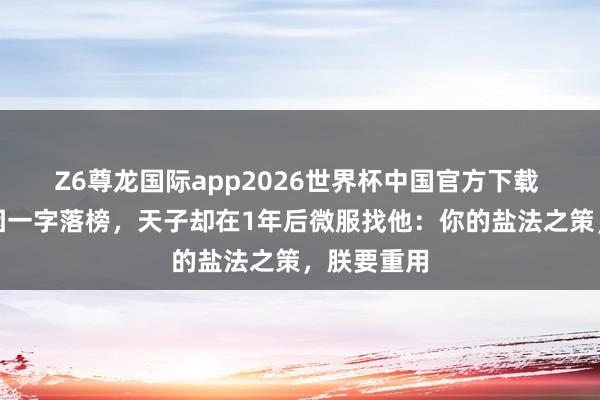 Z6尊龙国际app2026世界杯中国官方下载 宋朝秀才因一字落榜,天子却在1年后微服找他:你的盐法之策,朕要重用