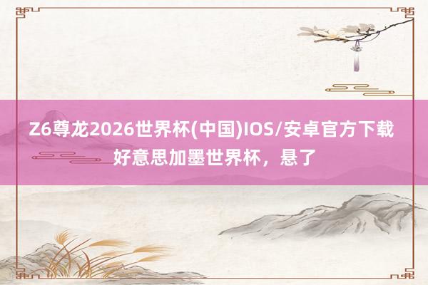 Z6尊龙2026世界杯(中国)IOS/安卓官方下载 好意思加墨世界杯,悬了