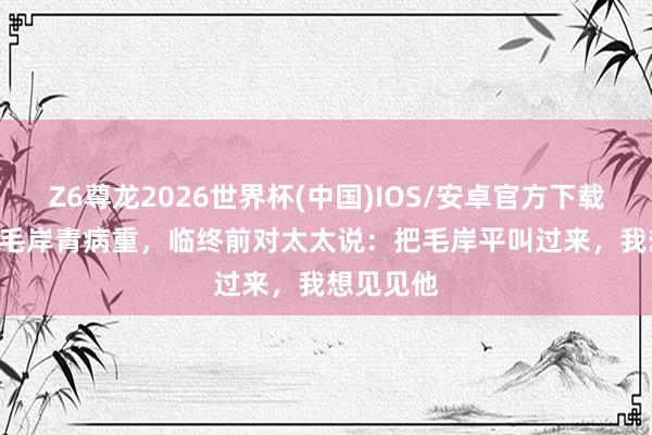 Z6尊龙2026世界杯(中国)IOS/安卓官方下载 2007年毛岸青病重，临终前对太太说：把毛岸平叫过来，我想见见他