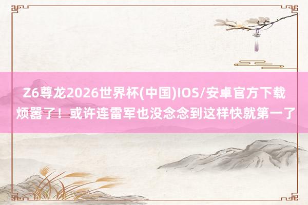 Z6尊龙2026世界杯(中国)IOS/安卓官方下载 烦嚣了!或许连雷军也没念念到这样快就第一了