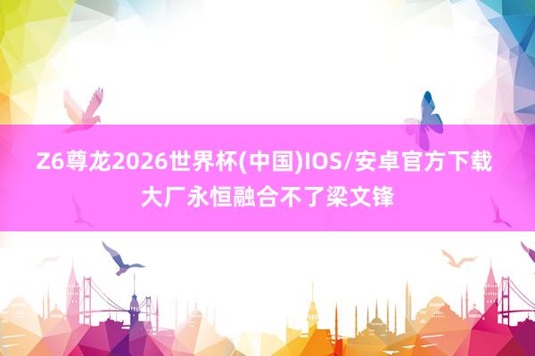 Z6尊龙2026世界杯(中国)IOS/安卓官方下载 大厂永恒融合不了梁文锋