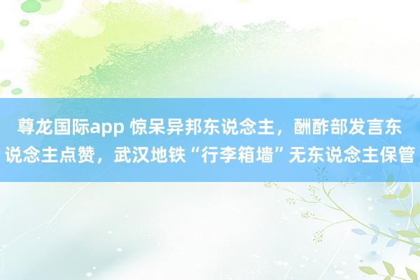 尊龙国际app 惊呆异邦东说念主,酬酢部发言东说念主点赞,武汉地铁“行李箱墙”无东说念主保管