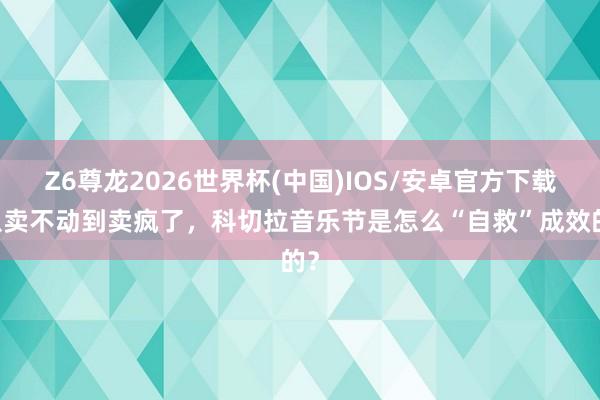 Z6尊龙2026世界杯(中国)IOS/安卓官方下载 从卖不动到卖疯了,科切拉音乐节是怎么“自救”成效的?
