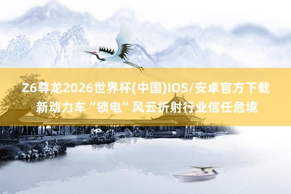 Z6尊龙2026世界杯(中国)IOS/安卓官方下载 新动力车“锁电”风云折射行业信任危境