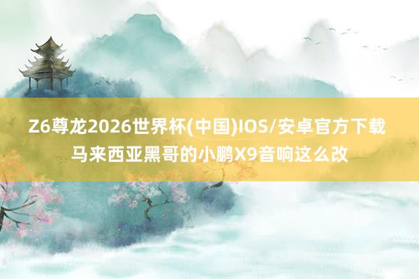 Z6尊龙2026世界杯(中国)IOS/安卓官方下载 马来西亚黑哥的小鹏X9音响这么改