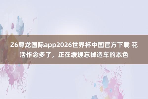 Z6尊龙国际app2026世界杯中国官方下载 花活作念多了，正在缓缓忘掉造车的本色