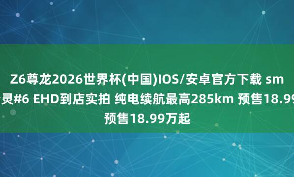 Z6尊龙2026世界杯(中国)IOS/安卓官方下载 smart精灵#6 EHD到店实拍 纯电续航最高285km 预售18.99万起