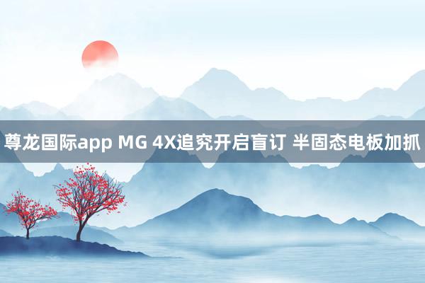尊龙国际app MG 4X追究开启盲订 半固态电板加抓