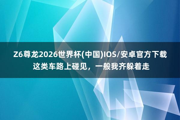 Z6尊龙2026世界杯(中国)IOS/安卓官方下载 这类车路上碰见,一般我齐躲着走