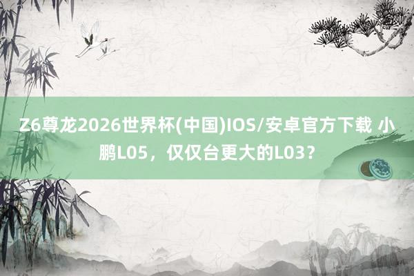 Z6尊龙2026世界杯(中国)IOS/安卓官方下载 小鹏L05,仅仅台更大的L03?