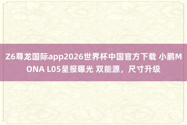 Z6尊龙国际app2026世界杯中国官方下载 小鹏MONA L05呈报曝光 双能源,尺寸升级