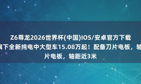 Z6尊龙2026世界杯(中国)IOS/安卓官方下载 比亚迪旗下全新纯电中大型车15.08万起！配备刀片电板，轴距近3米