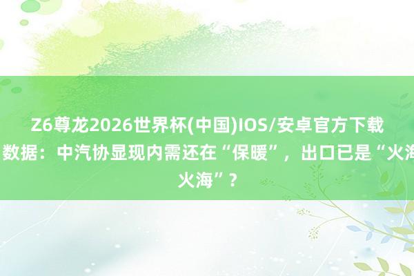 Z6尊龙2026世界杯(中国)IOS/安卓官方下载 4月数据:中汽协显现内需还在“保暖”,出口已是“火海”?