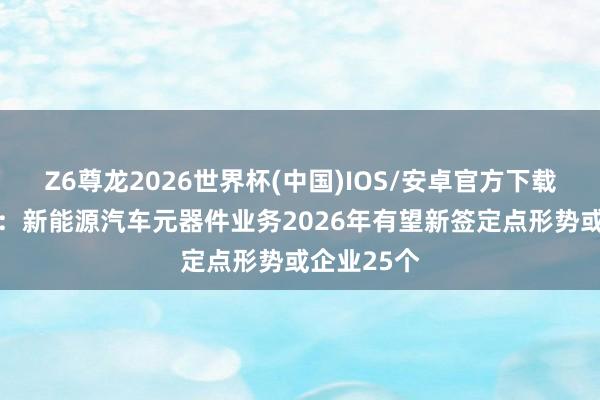 Z6尊龙2026世界杯(中国)IOS/安卓官方下载 东方电热:新能源汽车元器件业务2026年有望新签定点形势或企业25个