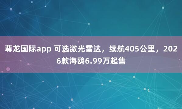尊龙国际app 可选激光雷达,续航405公里,2026款海鸥6.99万起售
