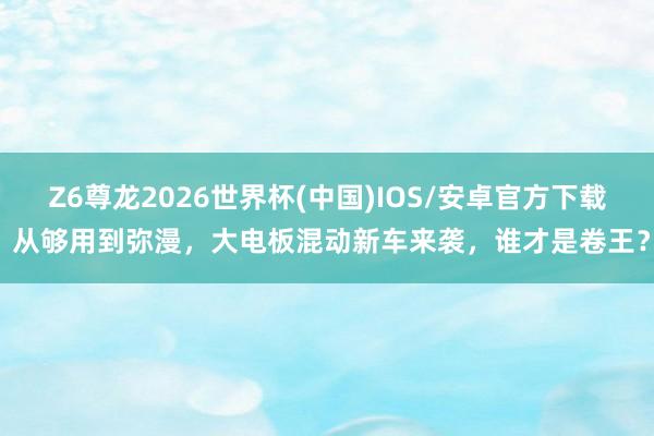 Z6尊龙2026世界杯(中国)IOS/安卓官方下载 从够用到弥漫,大电板混动新车来袭,谁才是卷王?