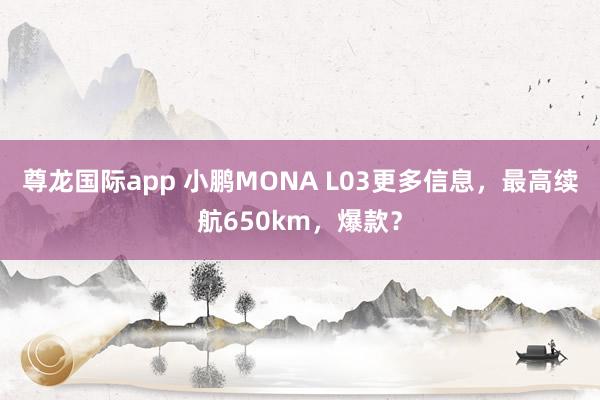 尊龙国际app 小鹏MONA L03更多信息,最高续航650km,爆款?