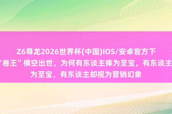 Z6尊龙2026世界杯(中国)IOS/安卓官方下载 10万电动车“卷王”横空出世,为何有东谈主捧为至宝,有东谈主却视为营销幻象