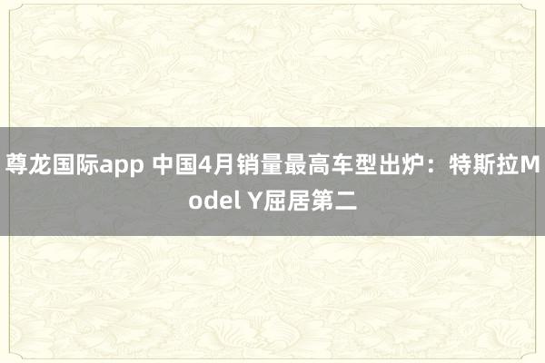 尊龙国际app 中国4月销量最高车型出炉:特斯拉Model Y屈居第二