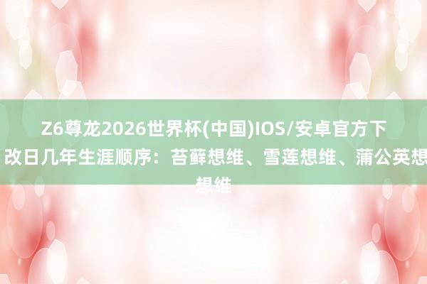 Z6尊龙2026世界杯(中国)IOS/安卓官方下载 改日几年生涯顺序:苔藓想维、雪莲想维、蒲公英想维