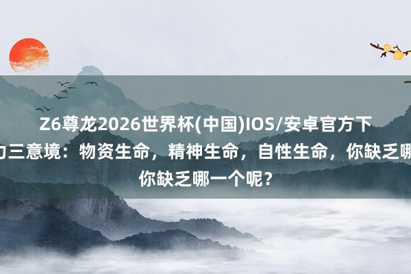 Z6尊龙2026世界杯(中国)IOS/安卓官方下载 生命力三意境：物资生命，精神生命，自性生命，你缺乏哪一个呢？