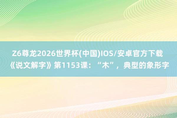 Z6尊龙2026世界杯(中国)IOS/安卓官方下载 《说文解字》第1153课:“木”,典型的象形字
