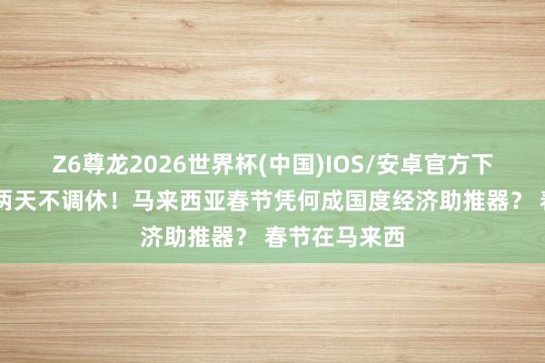 Z6尊龙2026世界杯(中国)IOS/安卓官方下载 法定沐日两天不调休!马来西亚春节凭何成国度经济助推器? 春节在马来西