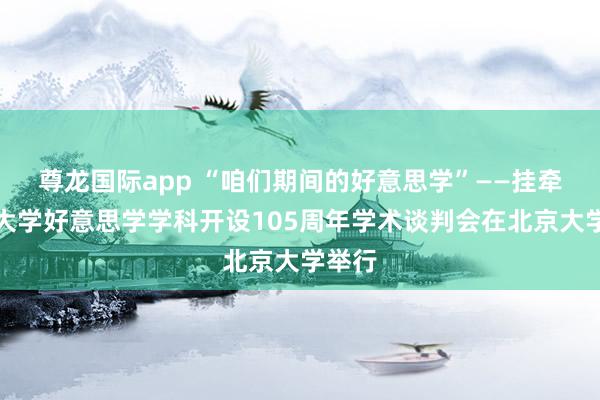 尊龙国际app “咱们期间的好意思学”——挂牵北京大学好意思学学科开设105周年学术谈判会在北京大学举行