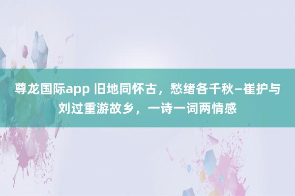 尊龙国际app 旧地同怀古,愁绪各千秋—崔护与刘过重游故乡,一诗一词两情感