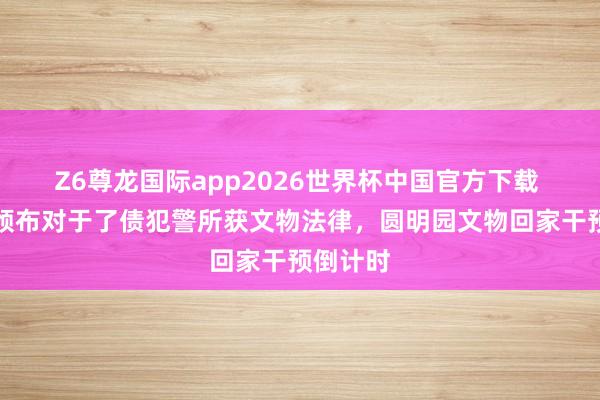 Z6尊龙国际app2026世界杯中国官方下载 马克龙颁布对于了债犯警所获文物法律,圆明园文物回家干预倒计时