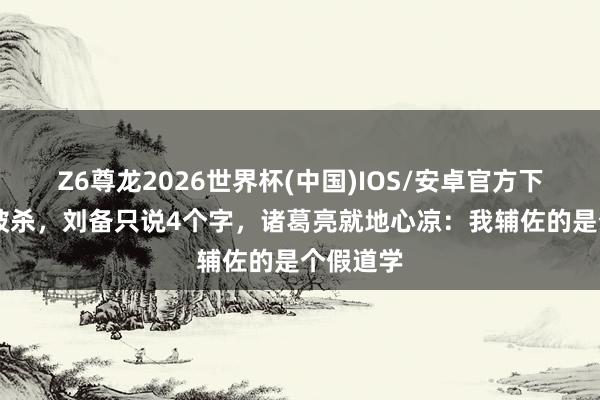 Z6尊龙2026世界杯(中国)IOS/安卓官方下载 张飞被杀,刘备只说4个字,诸葛亮就地心凉:我辅佐的是个假道学
