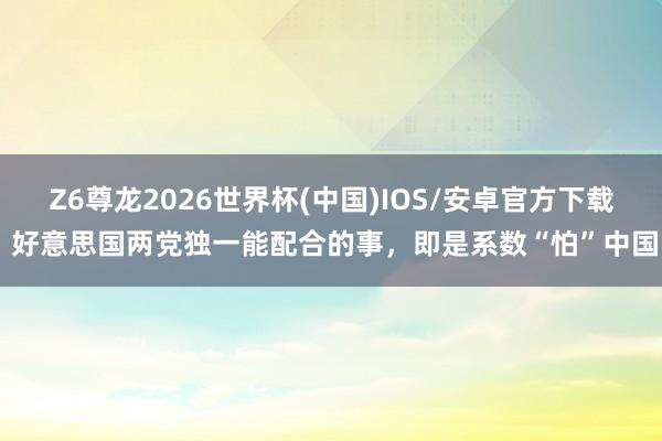 Z6尊龙2026世界杯(中国)IOS/安卓官方下载 好意思国两党独一能配合的事,即是系数“怕”中国