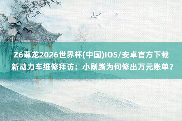 Z6尊龙2026世界杯(中国)IOS/安卓官方下载 新动力车维修拜访：小剐蹭为何修出万元账单？