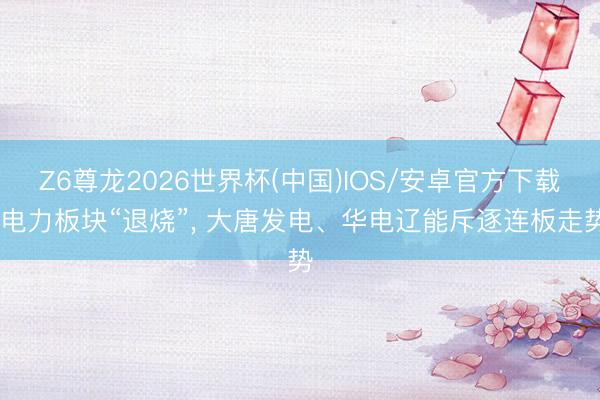 Z6尊龙2026世界杯(中国)IOS/安卓官方下载 电力板块“退烧”, 大唐发电、华电辽能斥逐连板走势