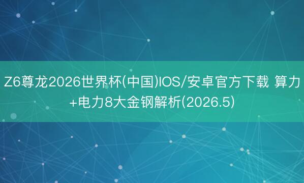 Z6尊龙2026世界杯(中国)IOS/安卓官方下载 算力+电力8大金钢解析(2026.5)