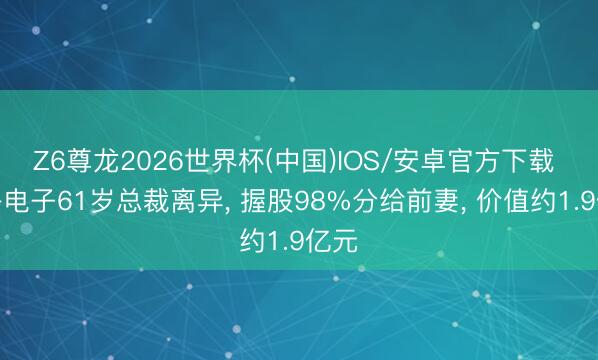 Z6尊龙2026世界杯(中国)IOS/安卓官方下载 顺络电子61岁总裁离异, 握股98%分给前妻, 价值约1.9亿元