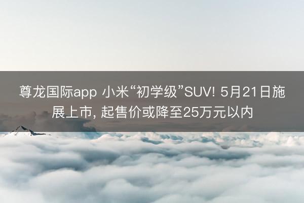 尊龙国际app 小米“初学级”SUV! 5月21日施展上市, 起售价或降至25万元以内
